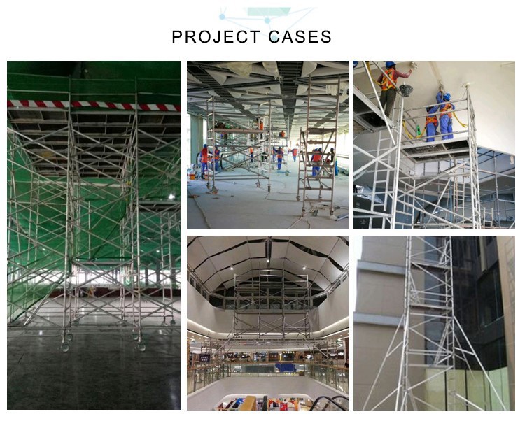 project cases